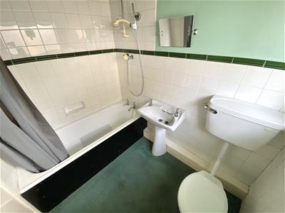 Picture 12